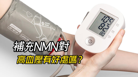 補充NMN對高血壓有好處嗎？
